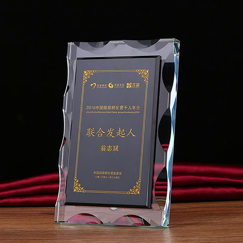 花边水晶聘书授权牌奖牌-042